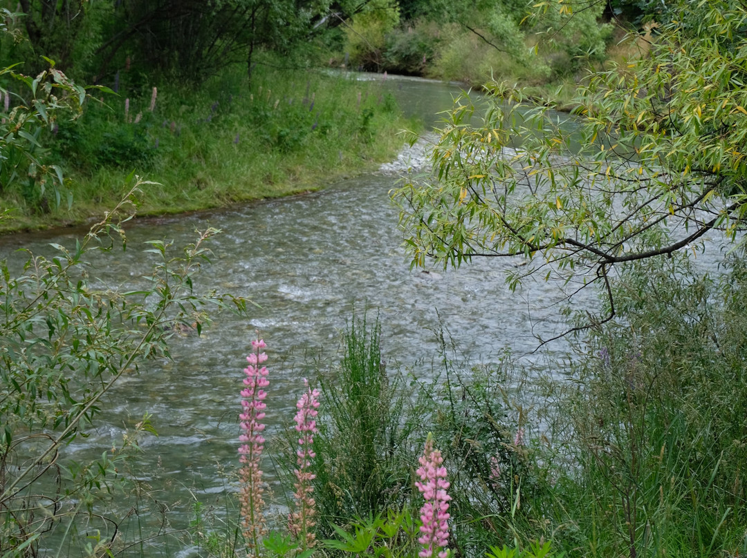 Bush Creek Trail景点图片