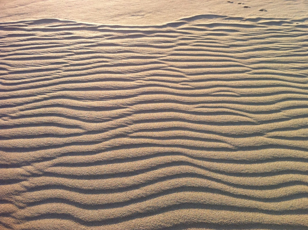 Paradis Plage Portimao-波尔蒂芒必去景点