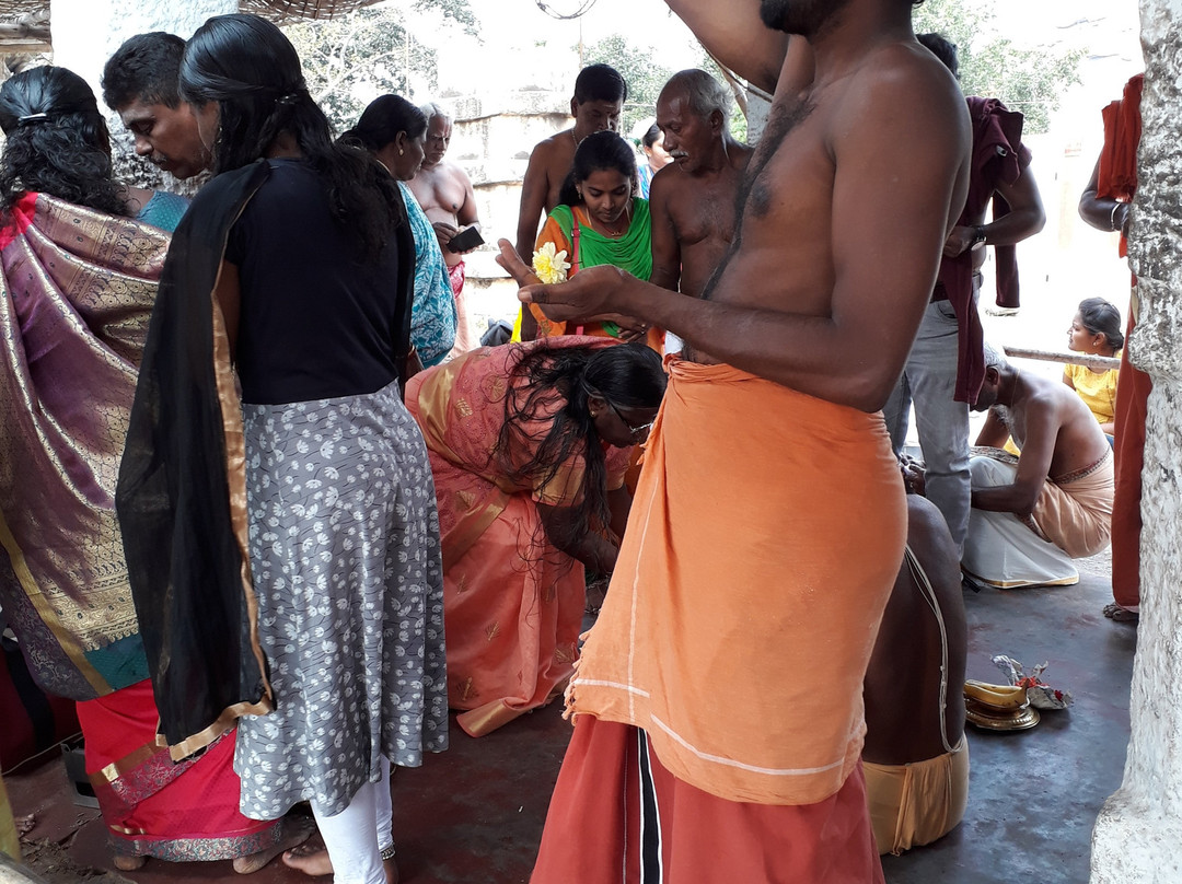 Nava Brindavana景点图片