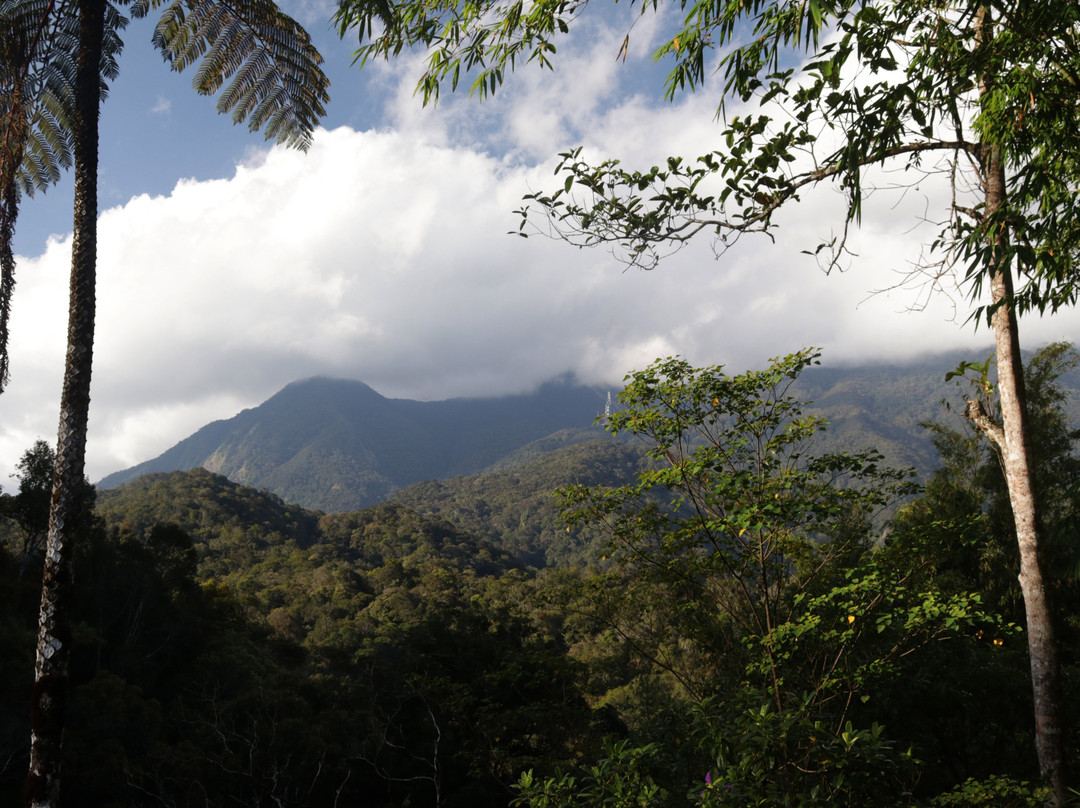 Ayana Holiday Resort主图