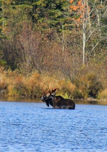 Acadian Seaplanes-Rangeley必去景点