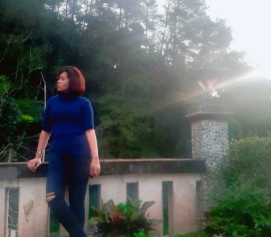 Pines Garden Hotel主图