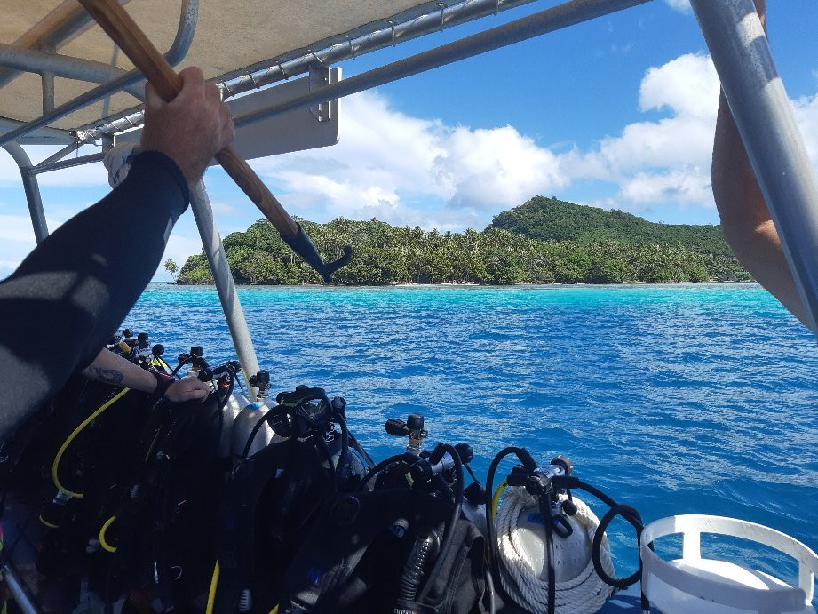 Top Dive, Bora Bora景点图片