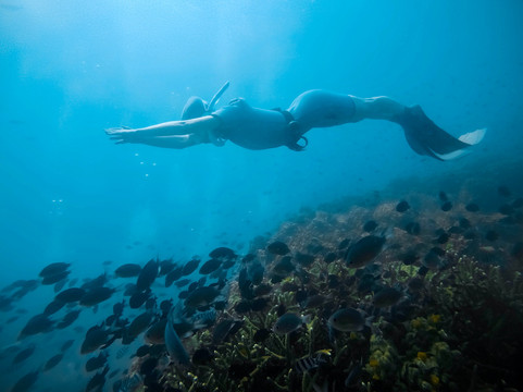 Blue Immersion Freediving-涛岛必去景点