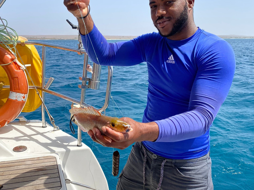 Sal Sea Safari-圣塔玛丽亚必去景点