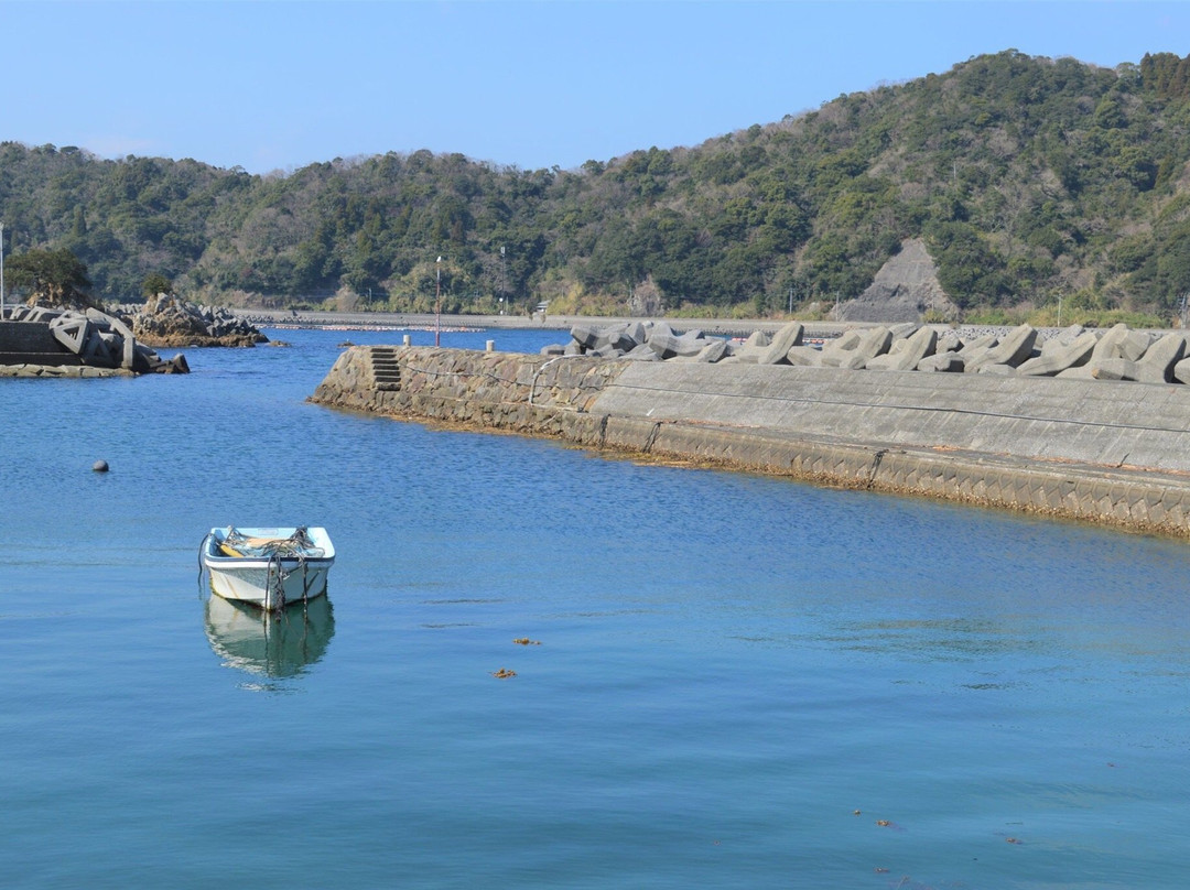 Onyujima Island-佐伯市必去景点