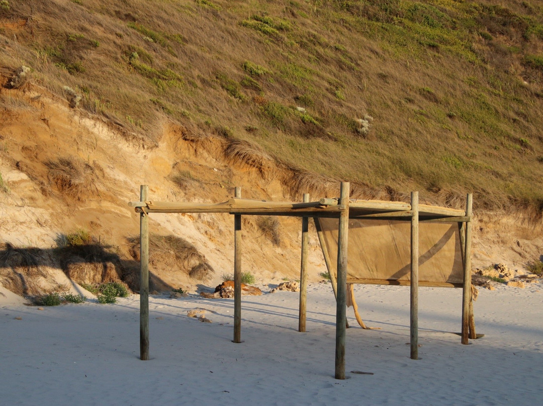 Lowlands Beach-Lowlands必去景点