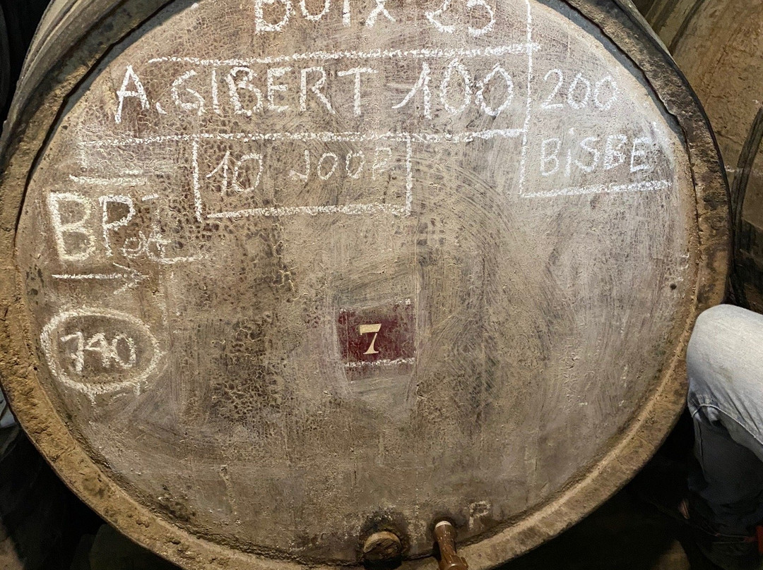 Mas Molla Des de 1338-Calonge必去景点