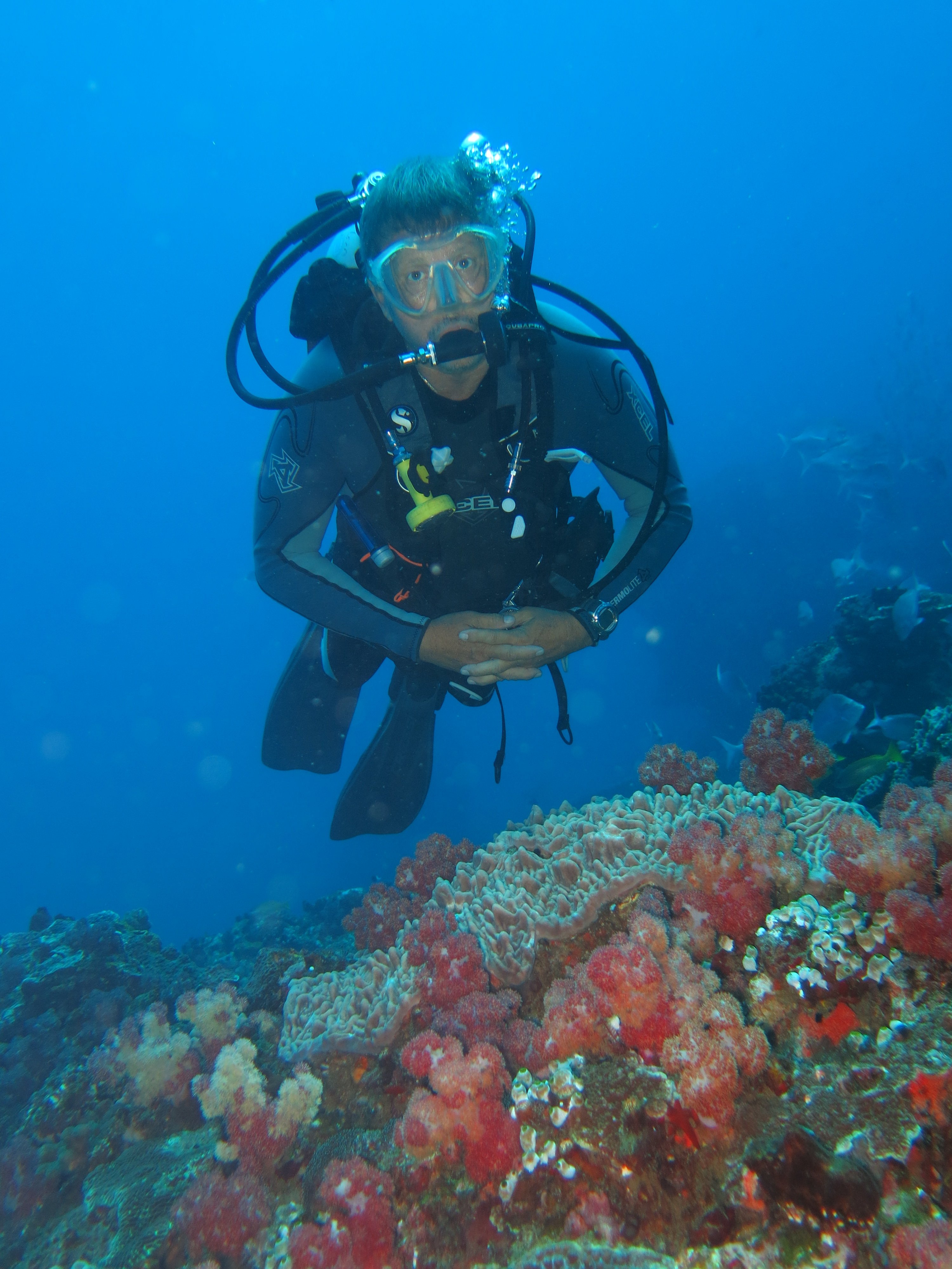 Sodwana Bay Lodge-泳池