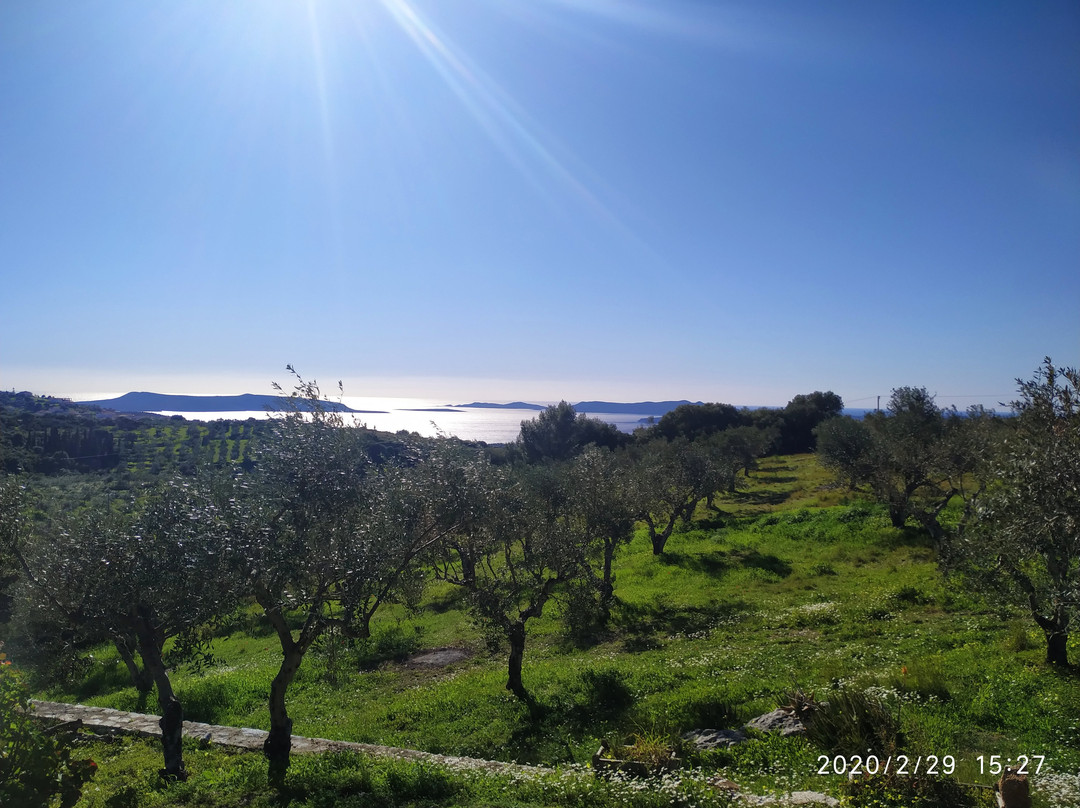 Vasilítsion酒店住宿-Chamaloni Cottages