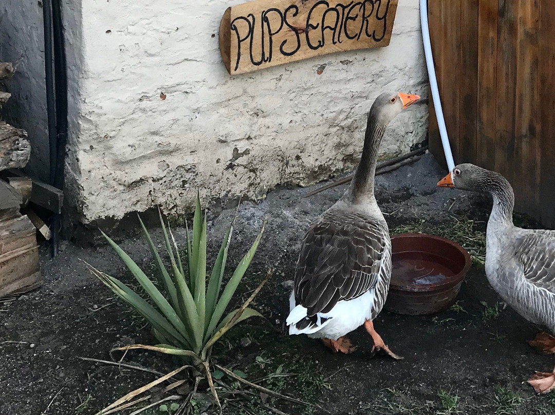 Mira Andes Ecuador-Machachi必去景点