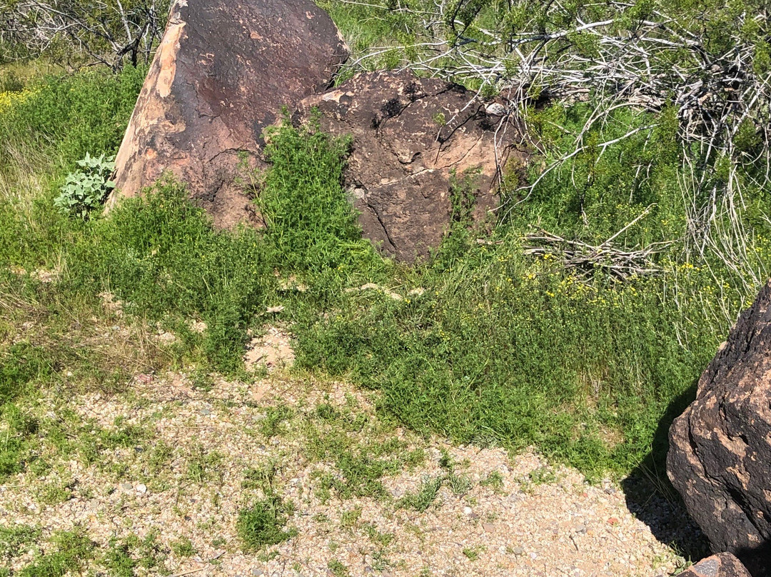 Deer Valley Petroglyph Preserve-格兰岱尔必去景点