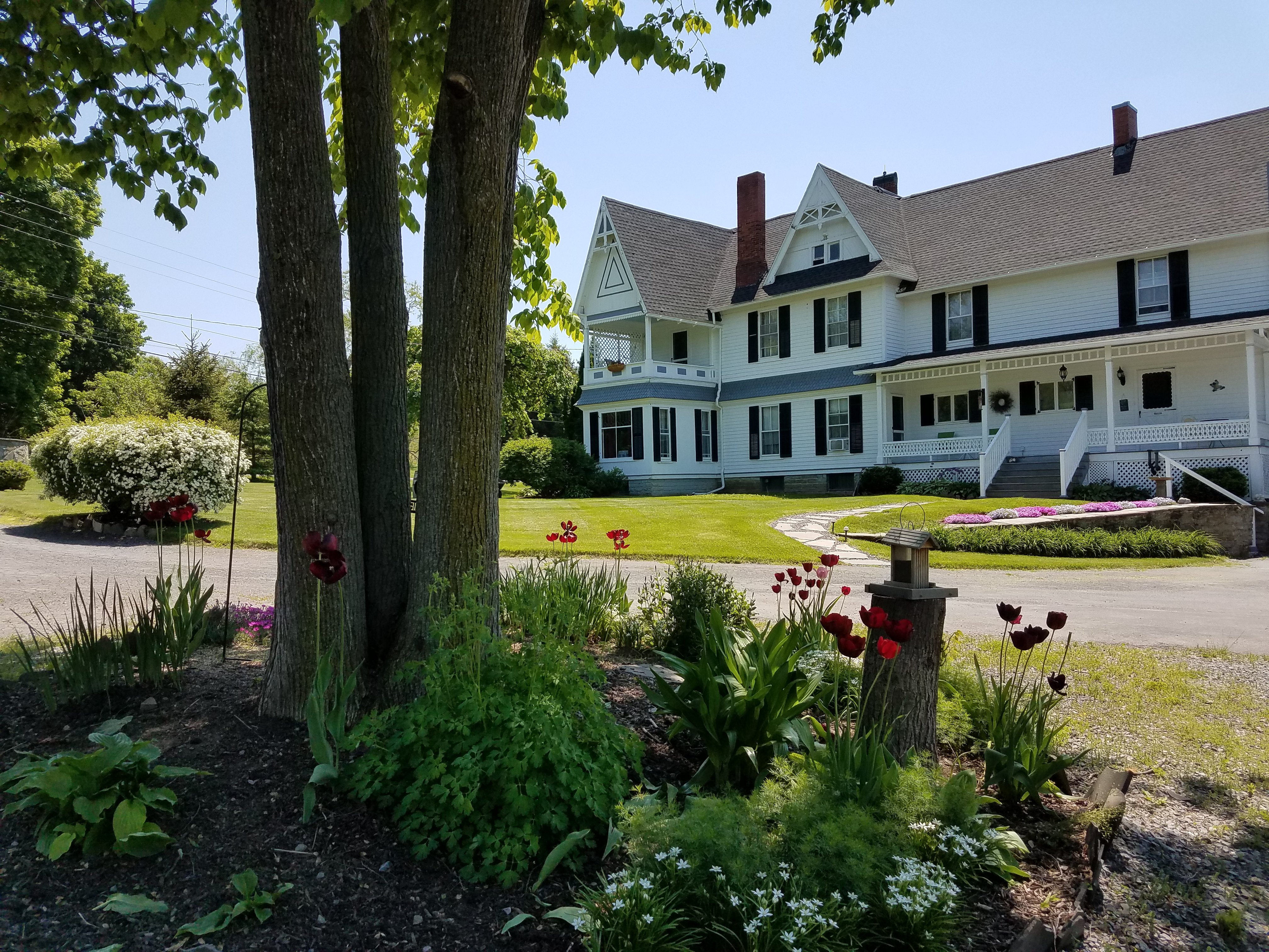 The Fox and the Grapes Bed and Breakfast-官方