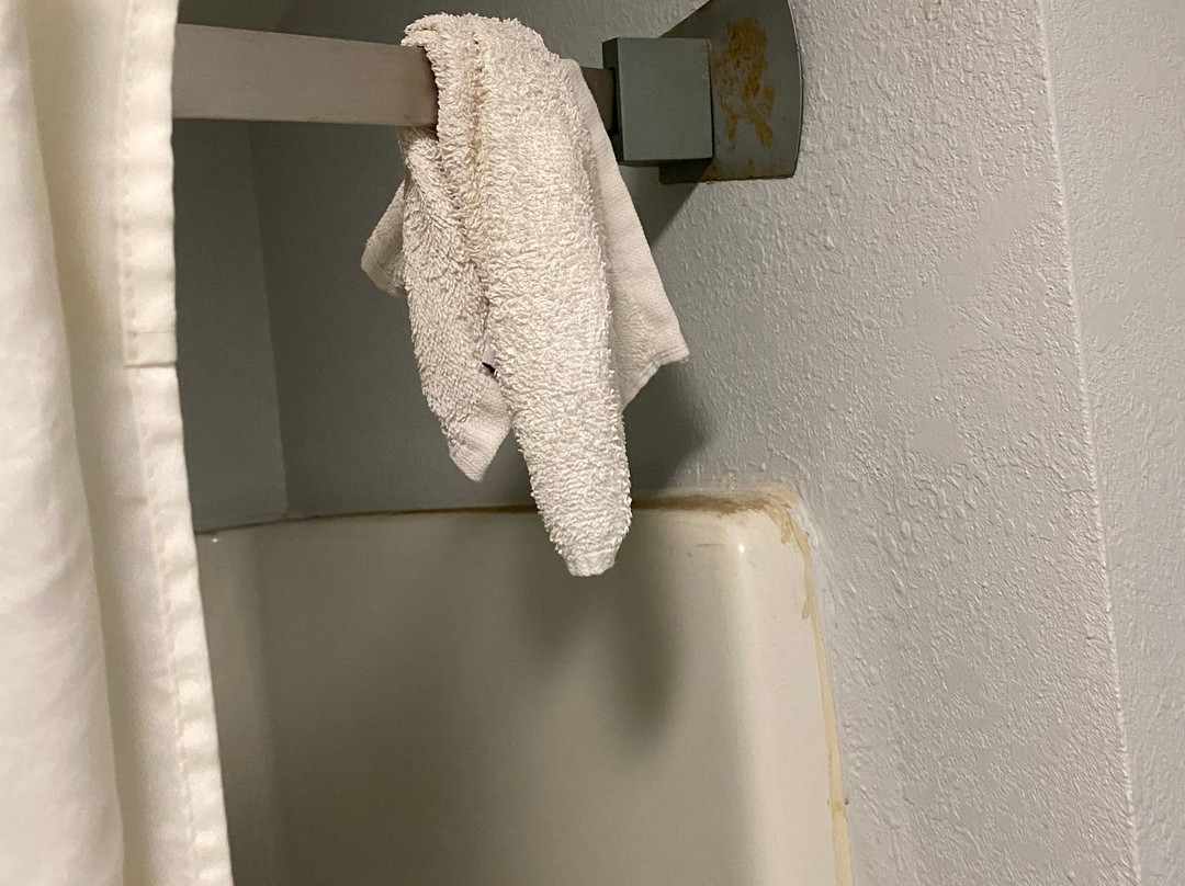 Super 8 by Wyndham Gainesville主图