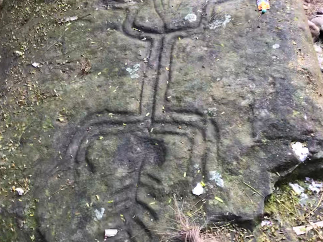 Altavista Petroglyph Complex-Chacala必去景点