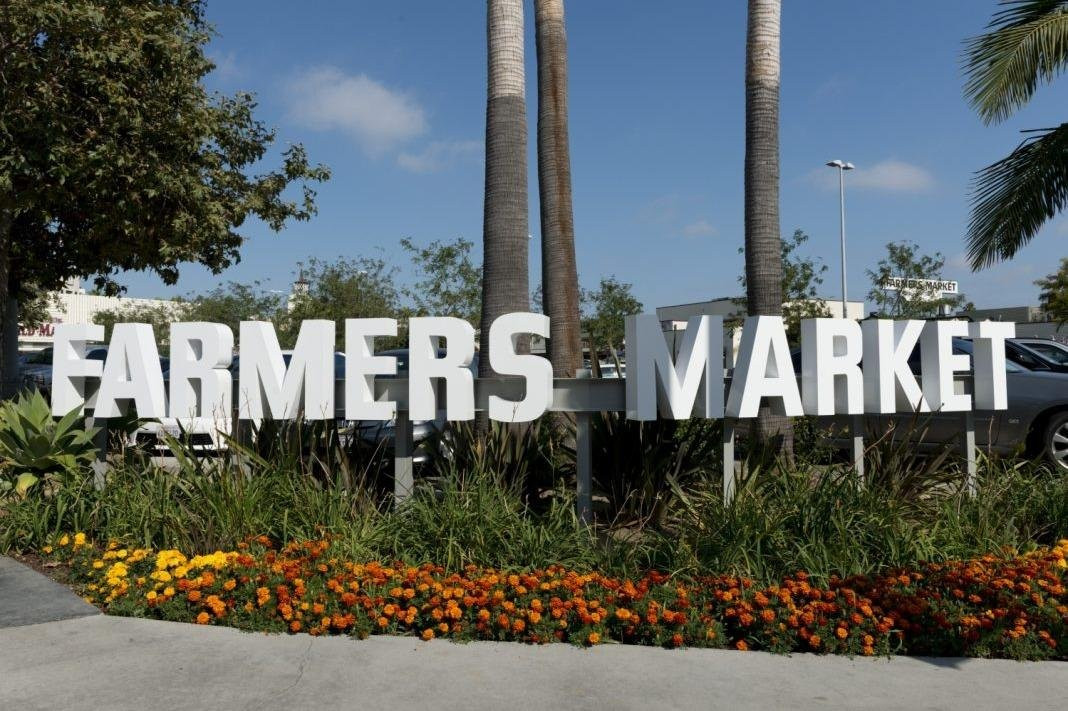 Anaheim Resort RapidShuttle Tours and Transfers.