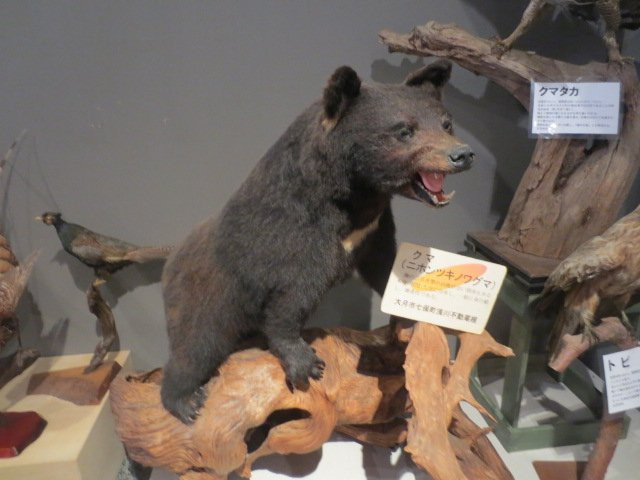 Otsuki City Local Material Museum-大月市必去景点