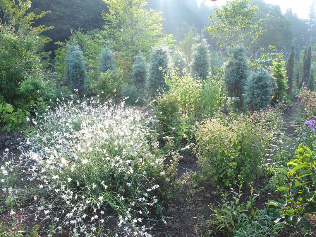 English Garden Minamiaso景点图片