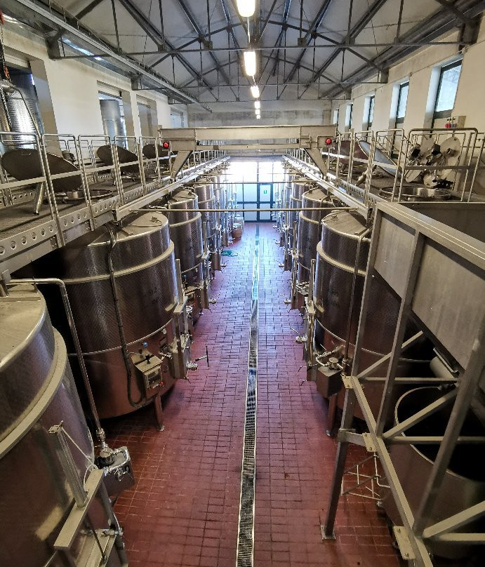 Veatles Group-佩鲁贾必去景点