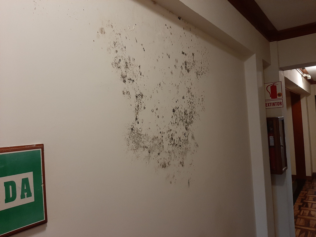 Dorado Hotel Boutique Tacna主图