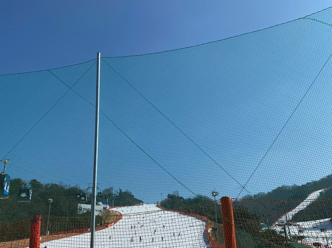 Daemyung Vivaldi Park Bowlingjang-洪川郡必去景点