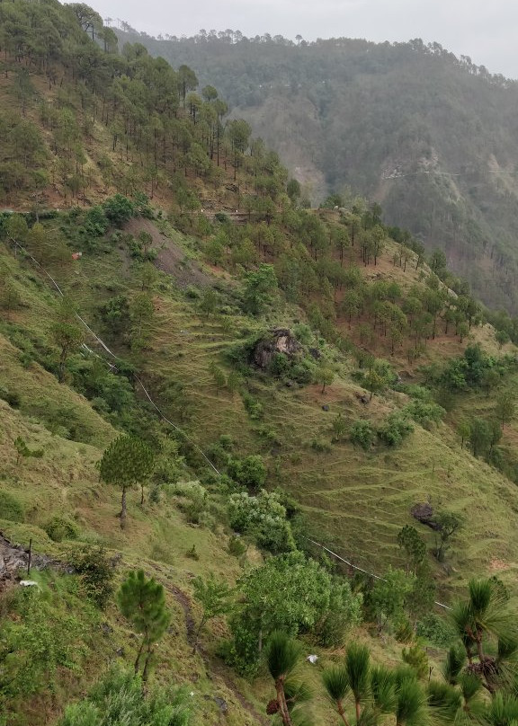 Capital O 16870 Atithi Resort主图