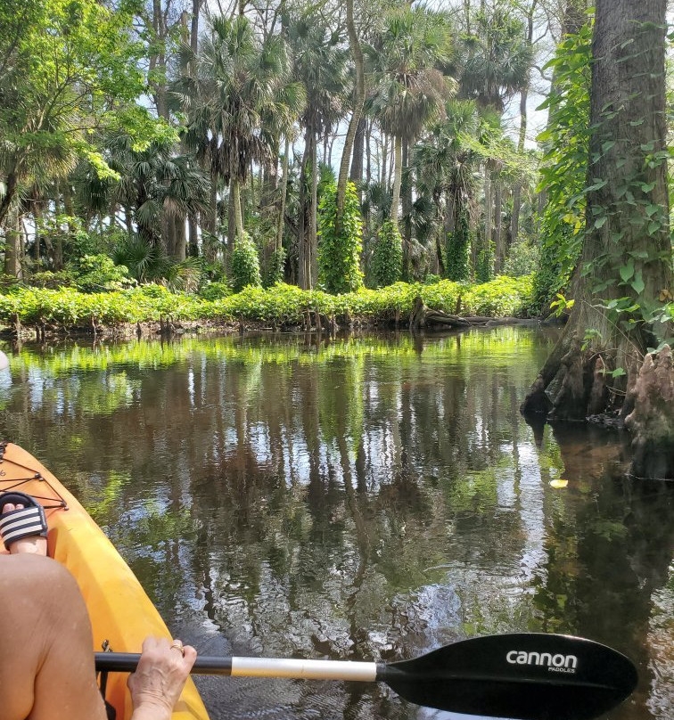 Loxahatchee River Battlefield Park-朱庇特必去景点