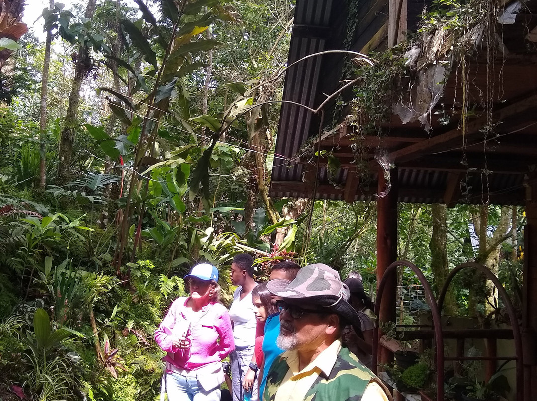 Bichacue Yath Arte & Naturaleza-卡利必去景点