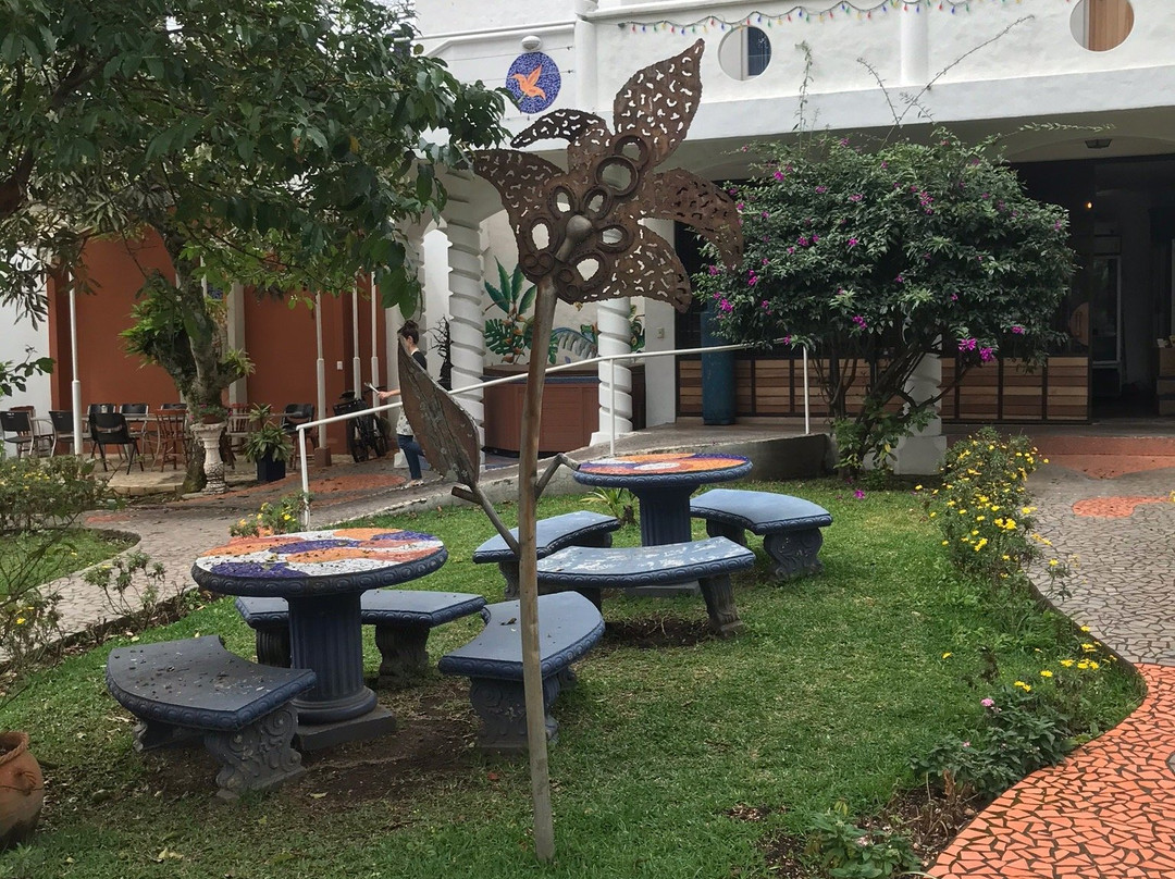 Hotel Ave del Paraiso主图