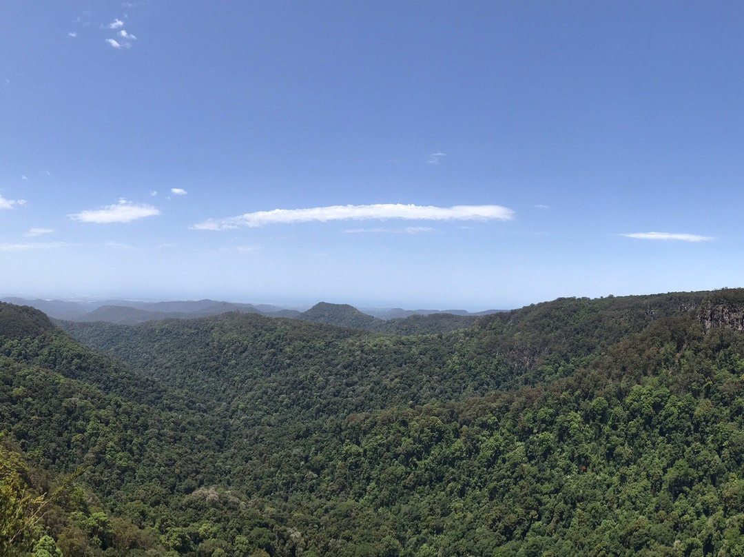 Rainforest Tours Australia-黄金海岸必去景点