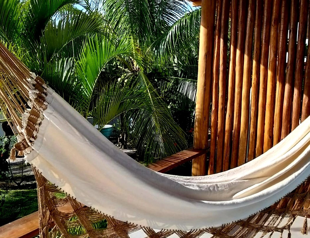 Mangabeira Lodge主图