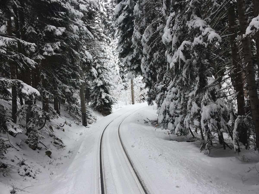 Borjomi-Bakuriani Railway-Borjomi必去景点