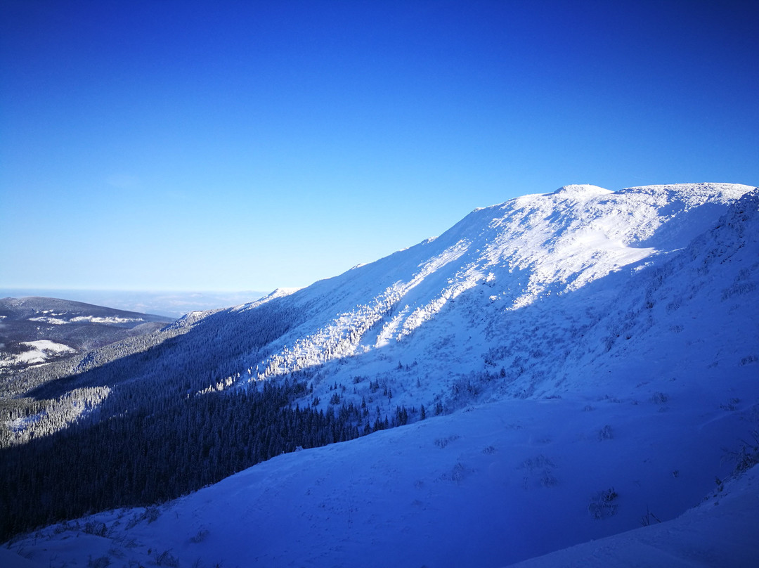 Babiogórski National Park景点图片