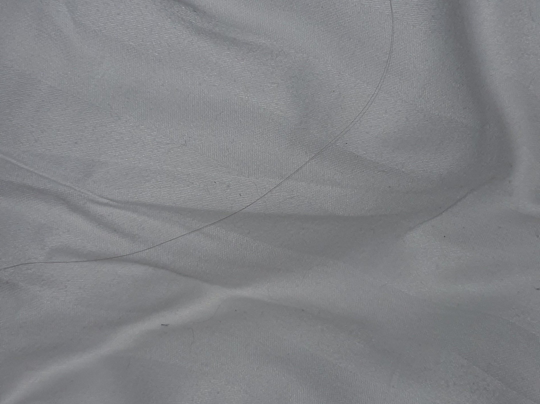 Harben House Hotel主图