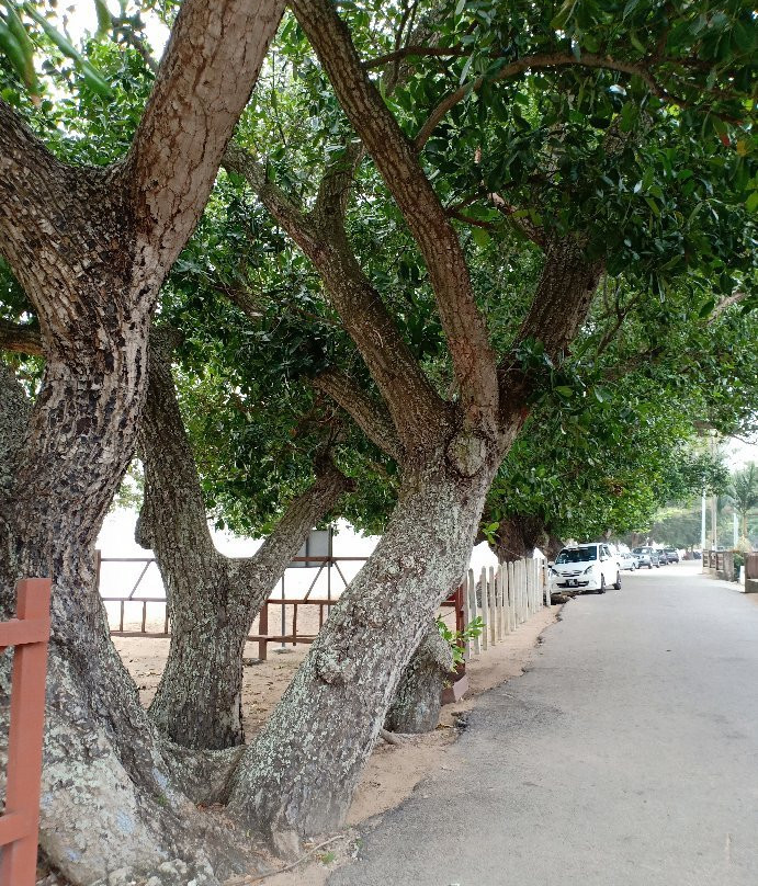 Pantai Peranginan Padang Kemunting景点图片