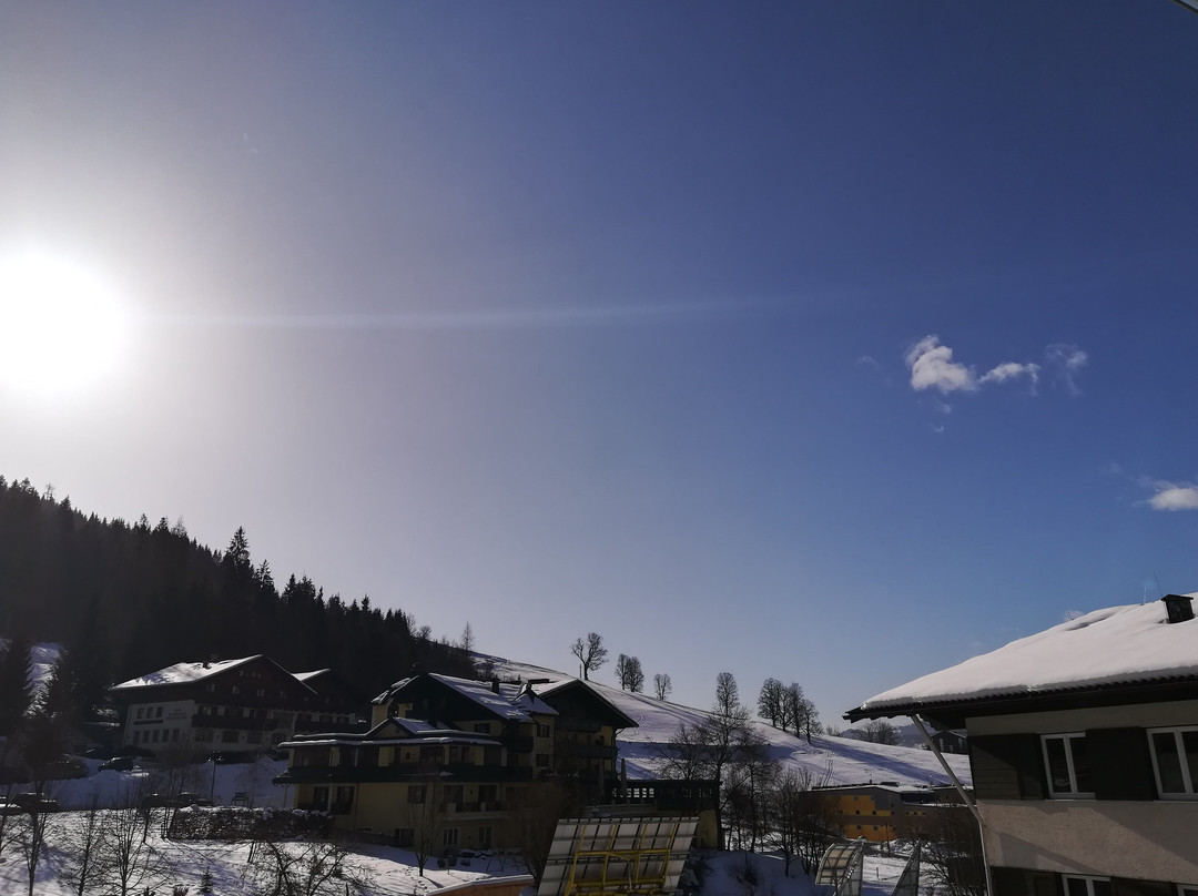 Gut Wenghof - Family Resort Werfenweng主图