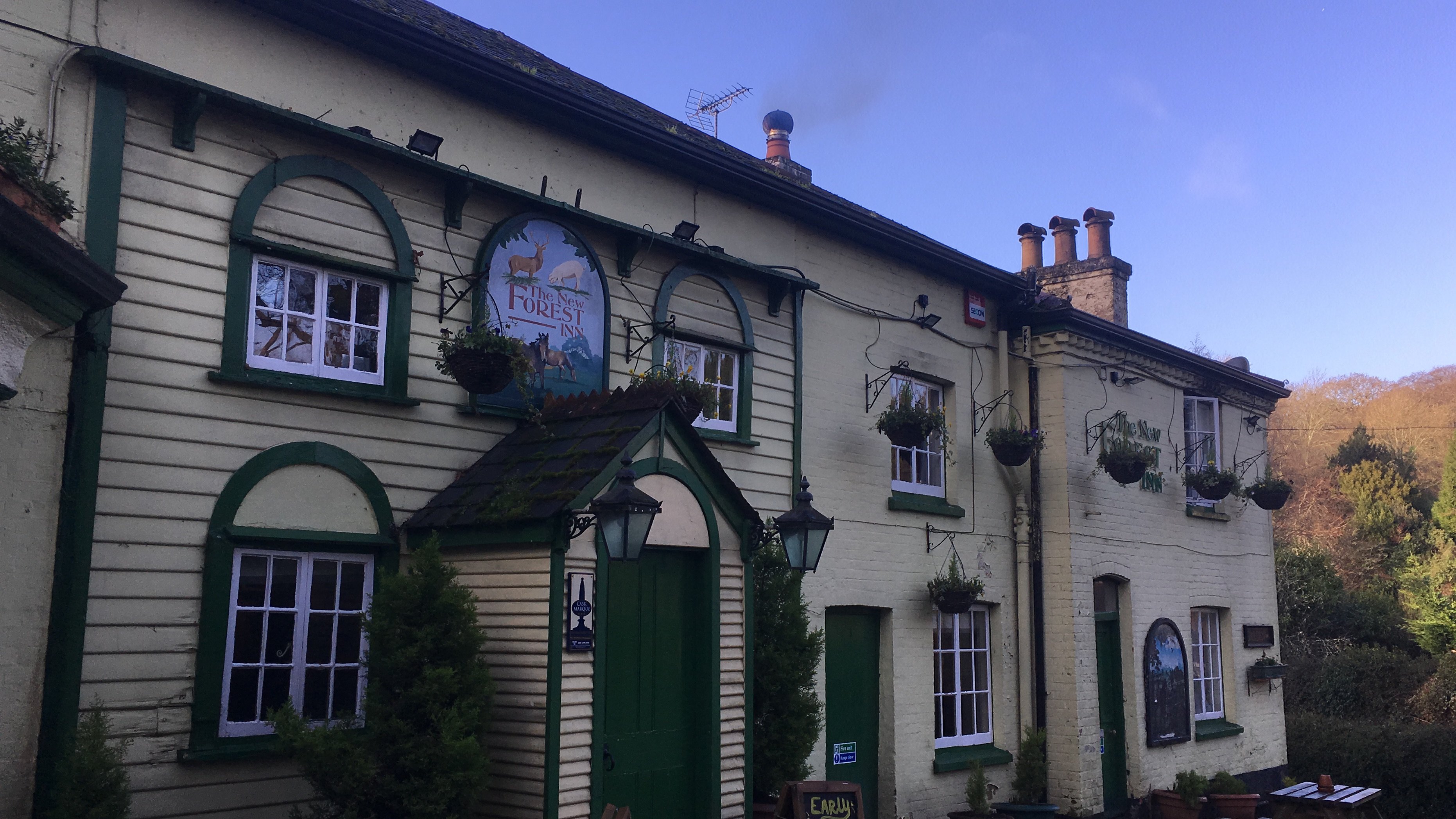 The New Forest Inn-浴室