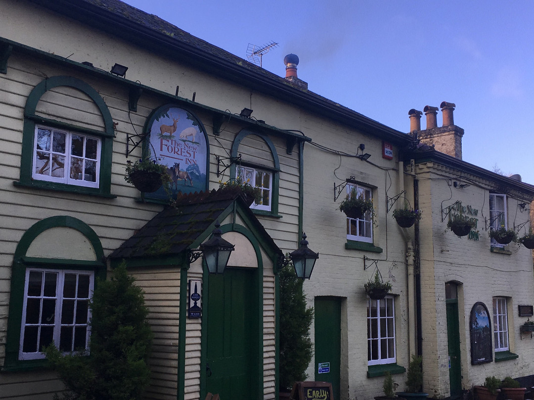 The New Forest Inn主图