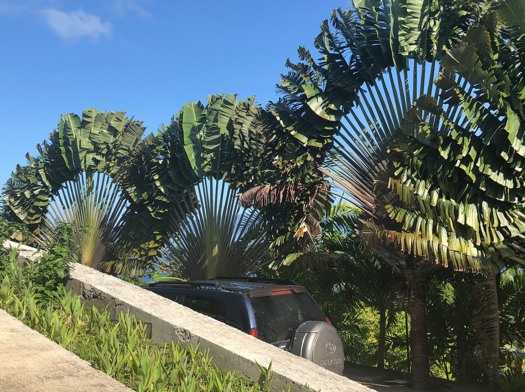 克洛维斯阳光别墅酒店主图