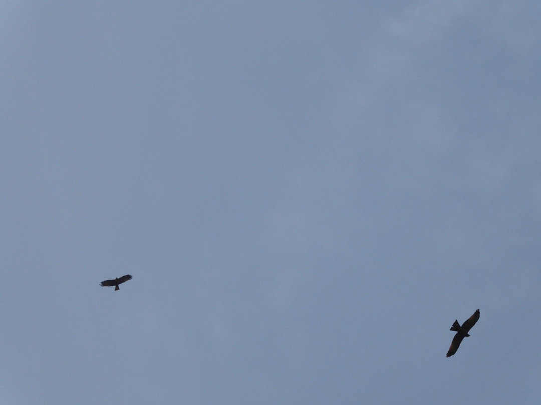 Kambia Africana Village Hotel主图