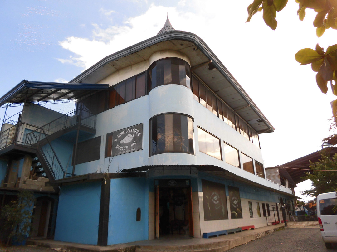 D' Bone Collector Museum-达沃必去景点