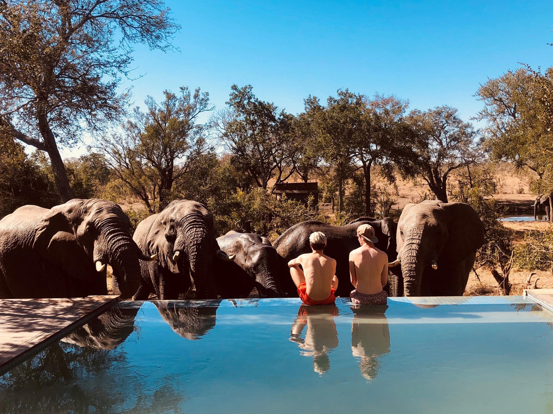 Albatros Travel-Century City必去景点