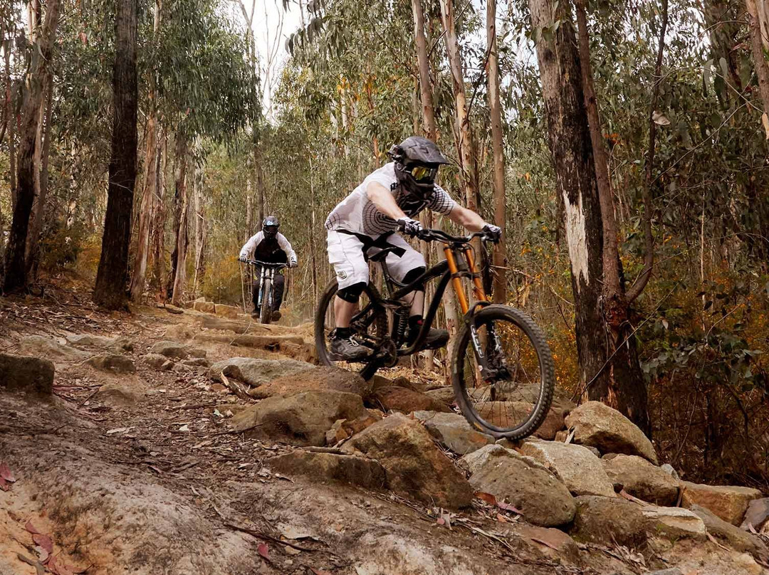 Kinglake National Park景点图片