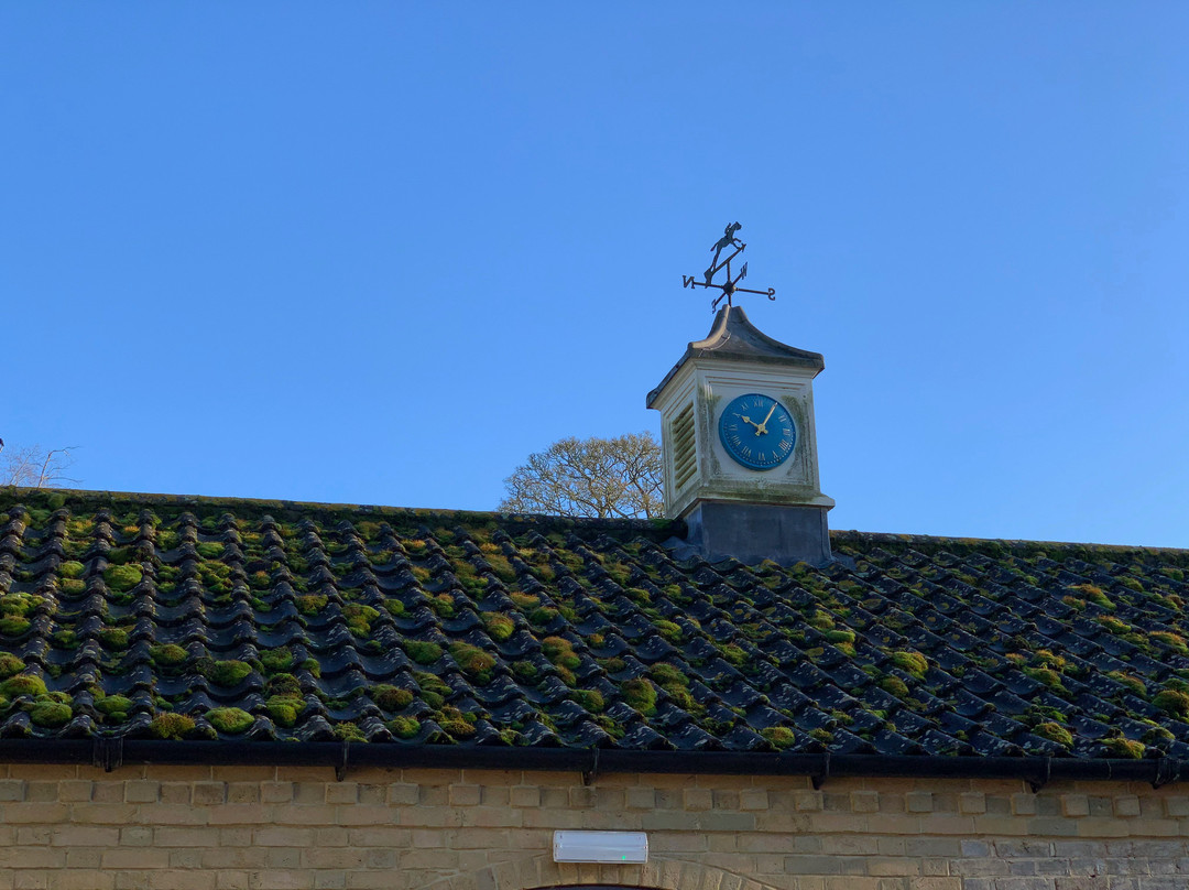 金雀花大厅乡村酒店主图