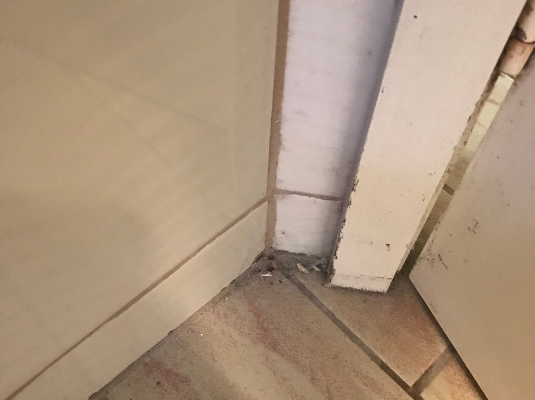 洛恩车夫客栈主图