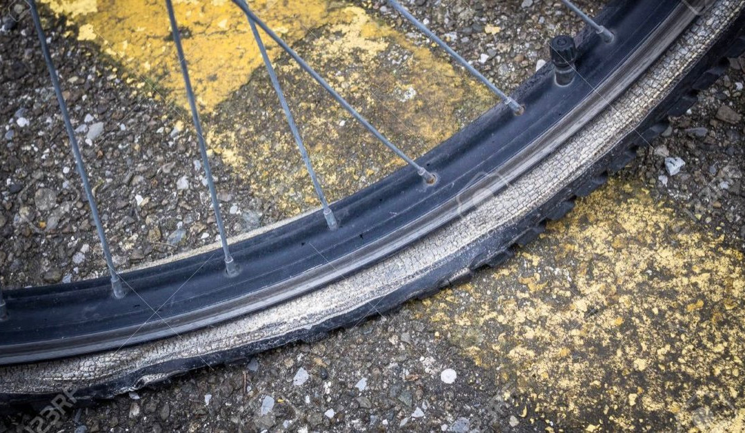 Valencia Bikes-巴伦西亚必去景点