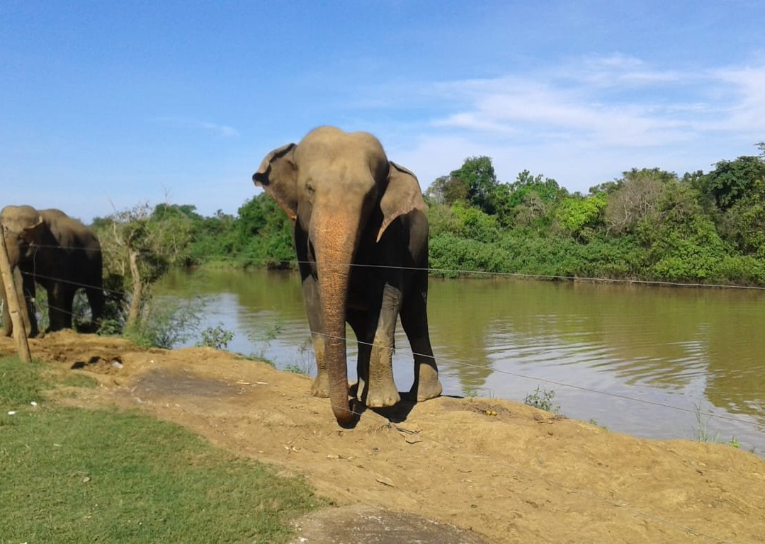 CMS Tours-科伦坡必去景点