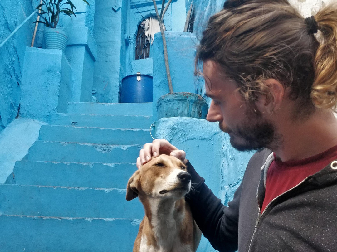 Jodhpur walking tours-焦特布尔必去景点