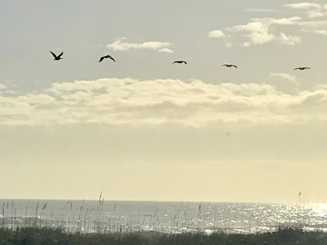 House of Sea and Sun主图