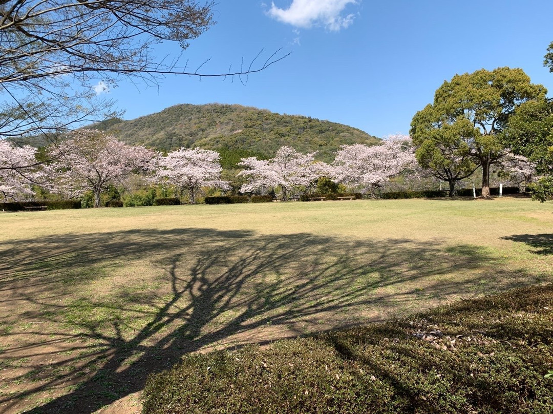 Ipponmatsu Park-山鹿市必去景点